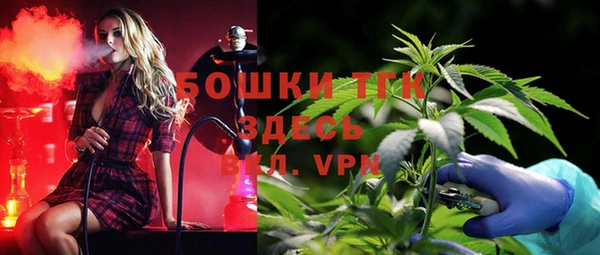мдпв Белокуриха
